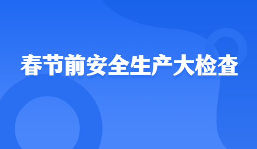 淮安区人大常委会主任胡启新进江苏双环开展春节前安全生产大检查