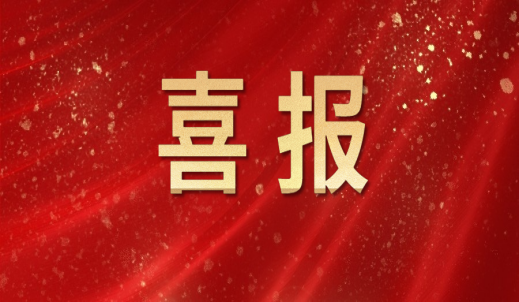 恭喜！嘉兴双环获评国家级专精特新“小巨人”企业