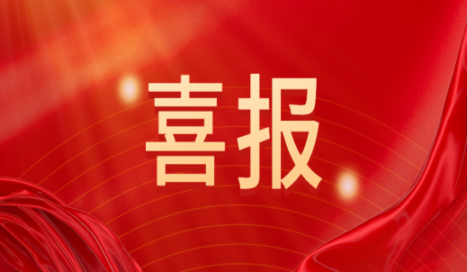 喜报！江苏双环荣获省级、国家级“双料”大奖