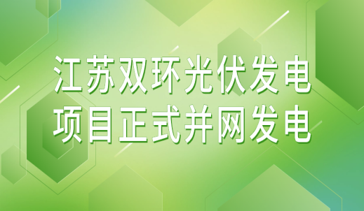 喜讯！江苏双环光伏发电项目正式并网发电！