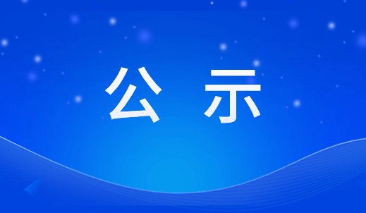 关于2023年度浙江双环传动机械股份有限公司工程技术系列职务任职资格评审结果公示